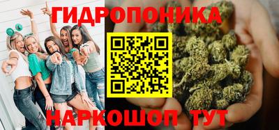 крисы Лесосибирск