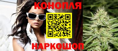крисы Лесосибирск
