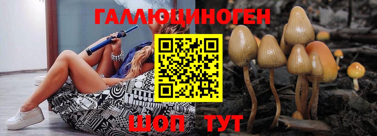 Псилоцибиновые грибы ЛСД  Вход с VPN  Зерноград  Галлюциногенные грибы GOLDEN TEACHER 